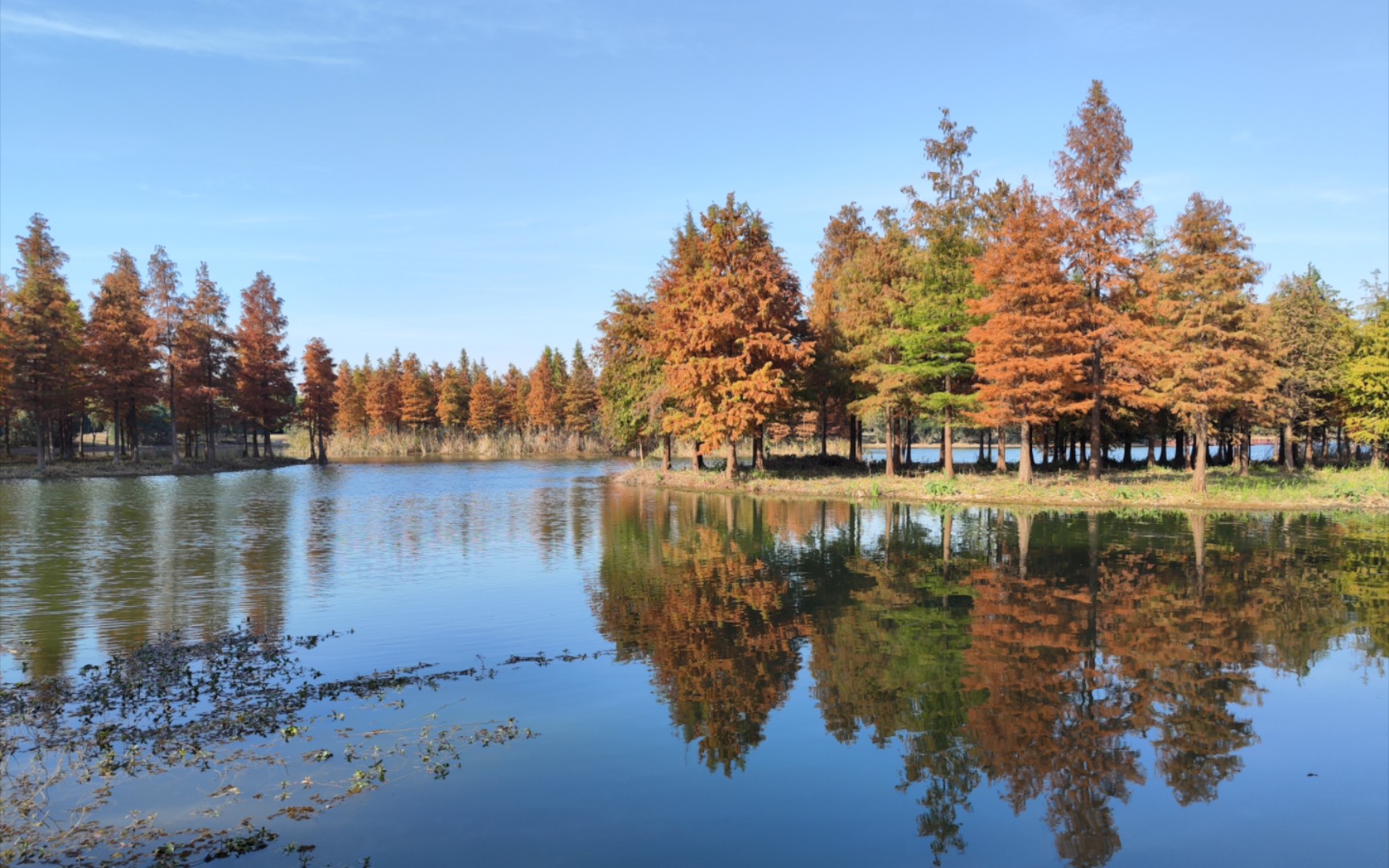 苏州虎丘湿地公园图片