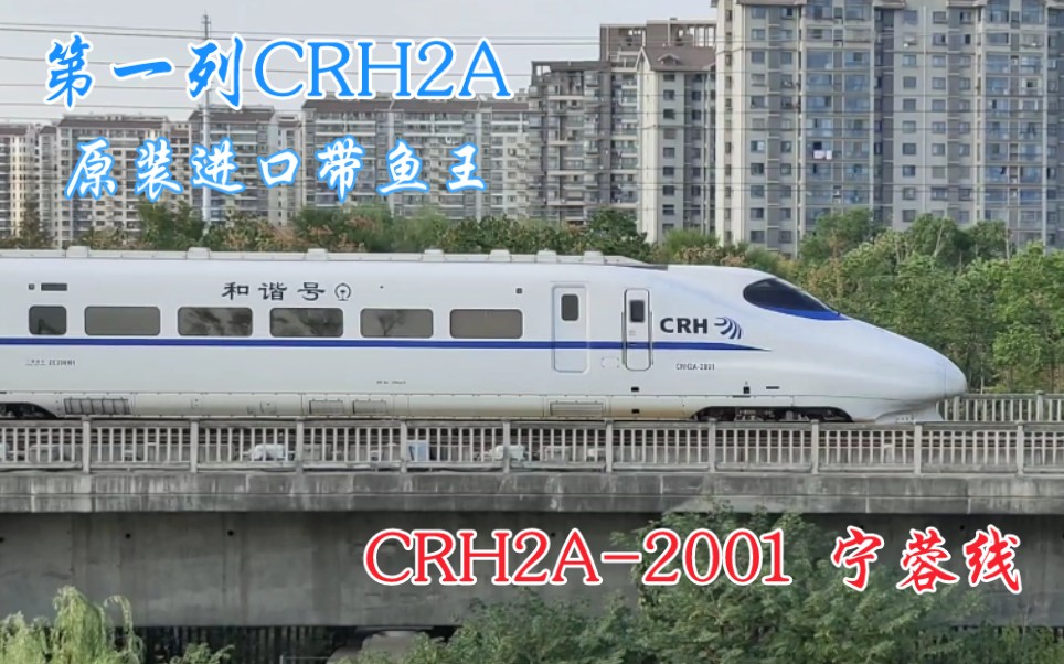 【进口E2系1000番台】带鱼王CRH2A2001担当D3066次出合肥南站哔哩哔哩bilibili