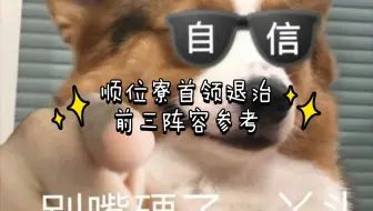 首领退治 教你如何在顺位前三大寮抢伤害 哔哩哔哩 Bilibili