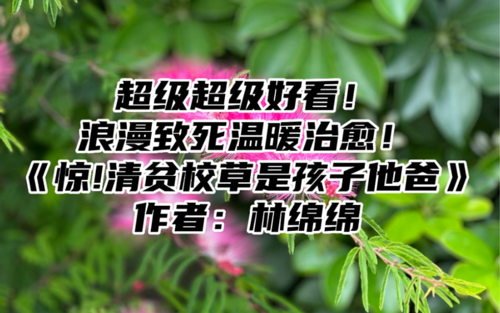 [图]超级超级好看！浪漫致死温暖治愈！《惊!清贫校草是孩子他爸》作者：林绵绵