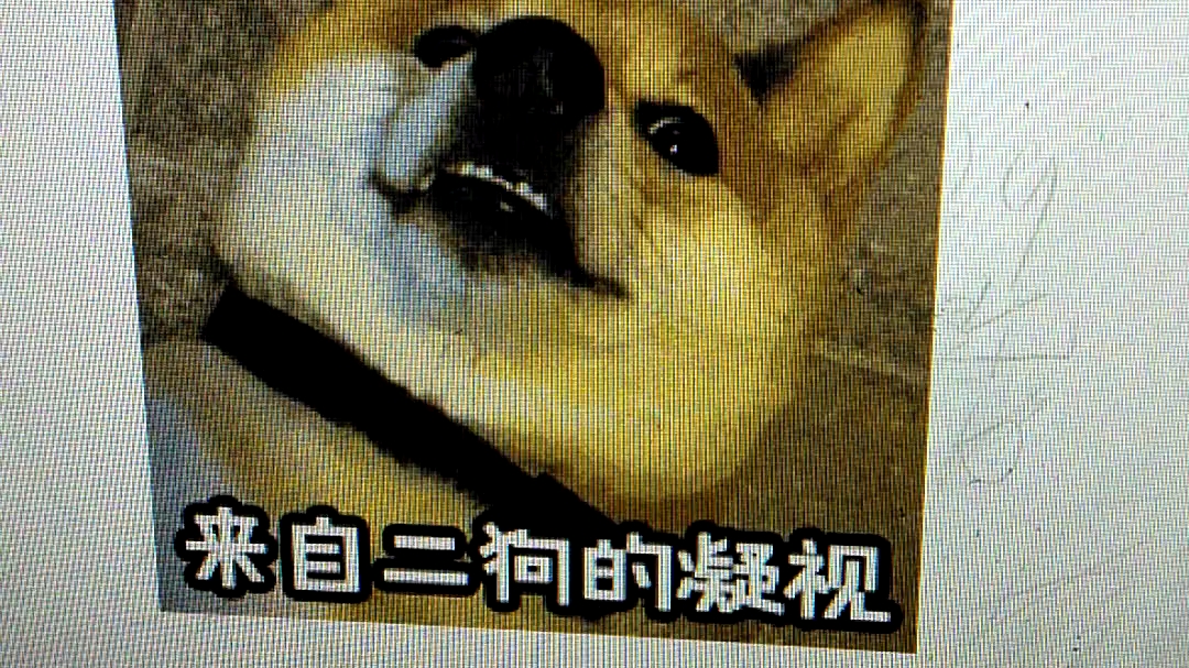 来自二狗的凝视表情包