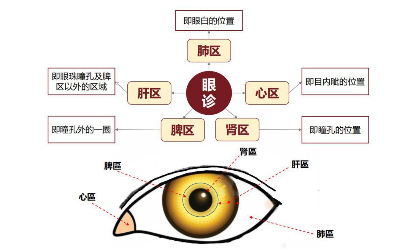 眼睛看病症大全图解图片