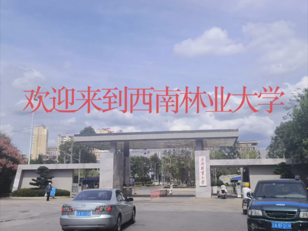 西南林业大学校门图片