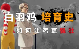 Download Video: 【科普】哪来这么多鸡？|45天的速生鸡经历了什么？|白羽鸡培育史