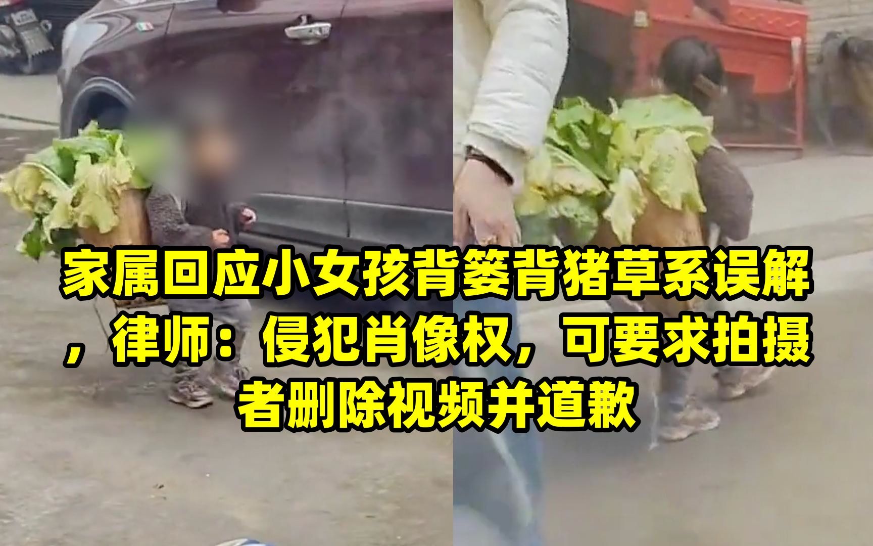 [图]家属回应小女孩背篓背猪草系误解，律师：侵犯肖像权，可要求拍摄者删除视频并道歉