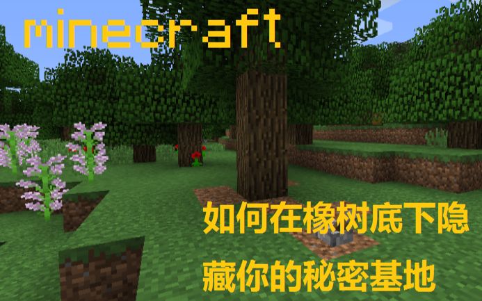 [图]#Minecraft 如何在橡树底下隐藏你的基地