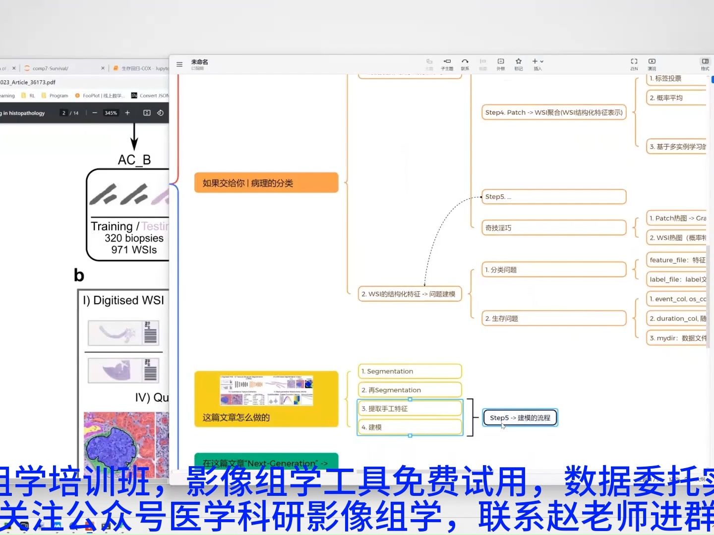 下一代形态测量学在医学影像分析中的前沿研究哔哩哔哩bilibili