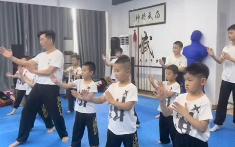 [图]【咏春】咏春组合拳2路日常训练和在木人桩上练习其实是一样的，你知道不同的是什么吗？