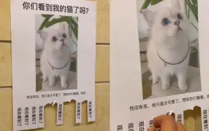 Tải video: 男子为炫耀自家猫咪可爱，楼道里狂贴“寻猫启事”，路人纷纷中招