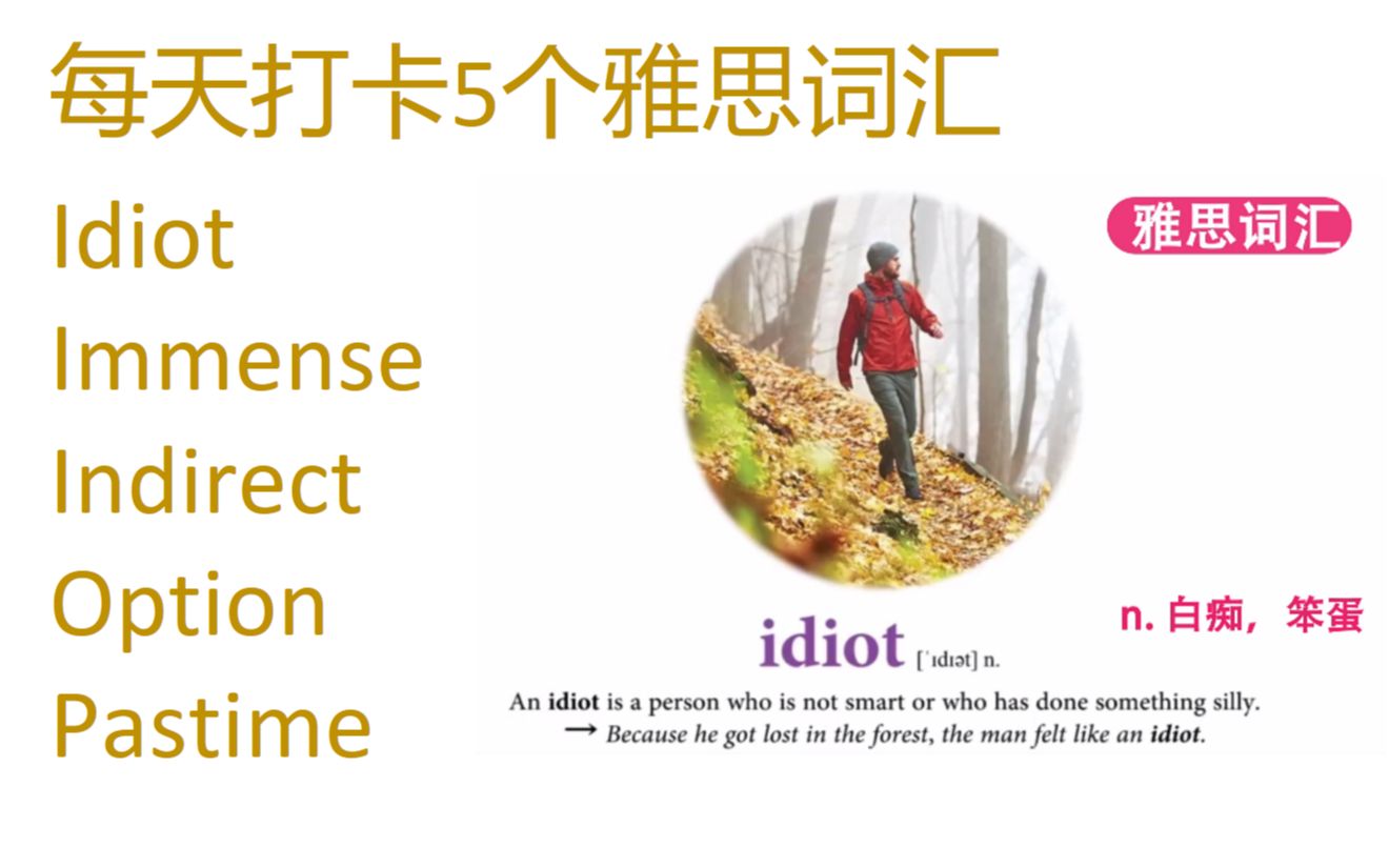 每天打卡5个雅思词汇 idiot, indirect, option, immense, pastime哔哩哔哩bilibili