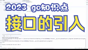 go接口的引入