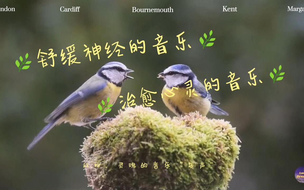 [图]🌿恢复神经系统的🌿治愈心脏的 🌿轻柔的音乐使神经系统平静，使灵魂愉悦！🌿音乐会激活阿片类物质，这是人体的天然止痛药。音乐本身就是一种药