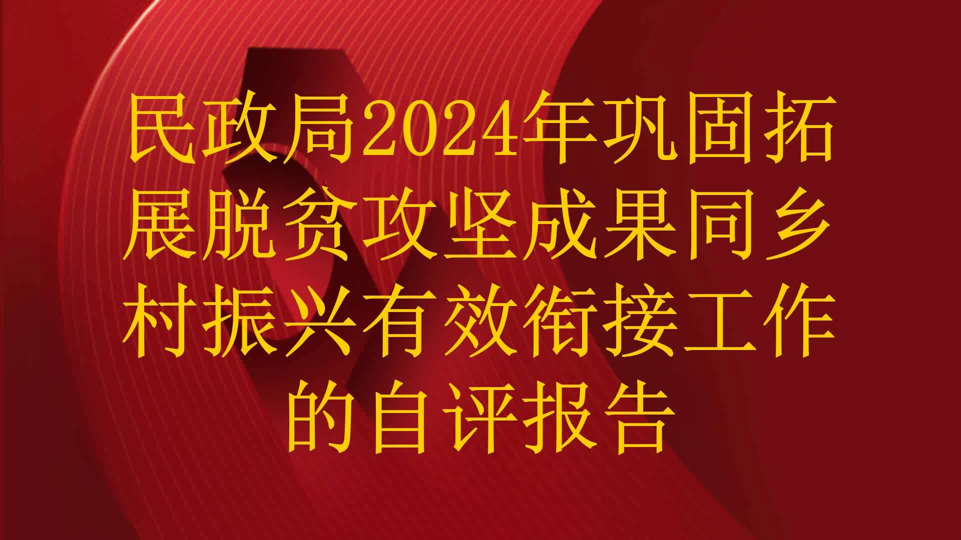 民政局2024年巩固拓展脱贫攻坚成果同乡村振兴有效衔接工作的自评报告哔哩哔哩bilibili