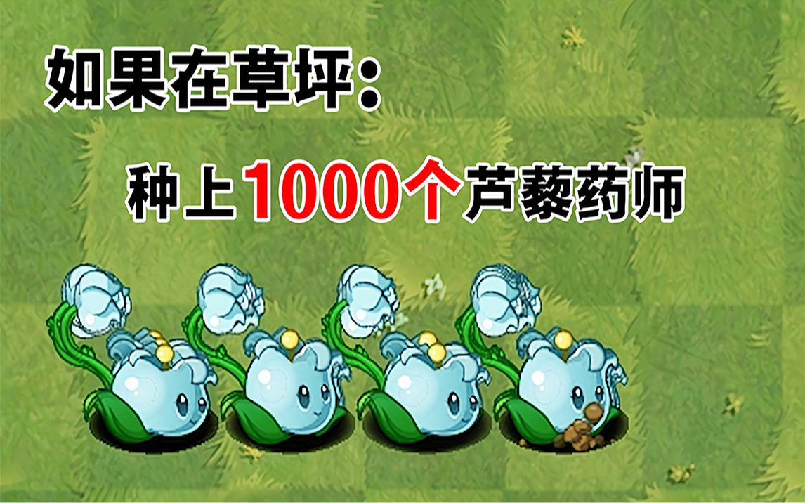 如果在草坪种上1000个芦藜药师,谁能打败他?