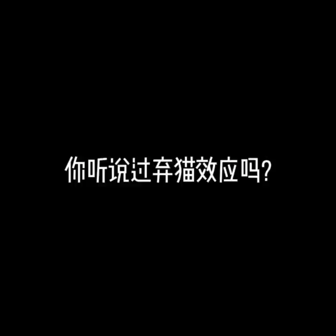 情感/ “你听说过弃猫效应吗”“弃猫效应会有什么影响呢”哔哩哔哩bilibili