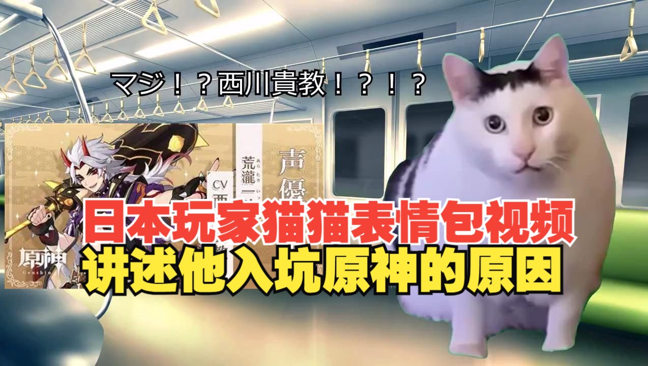 日本小哥猫猫表情包视频讲述入坑原神的经过!