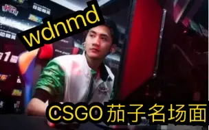 Download Video: CSGO茄子五个名场面