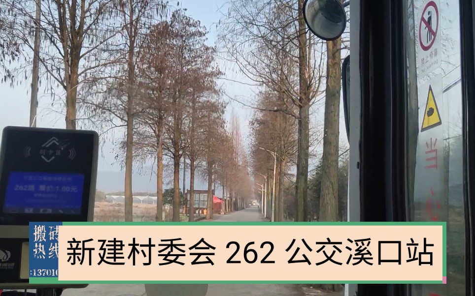 [POV72]【奉化公交拍摄计划8】宁波奉化公交 262路新建村委会开往公交溪口站全程第一视角POV哔哩哔哩bilibili