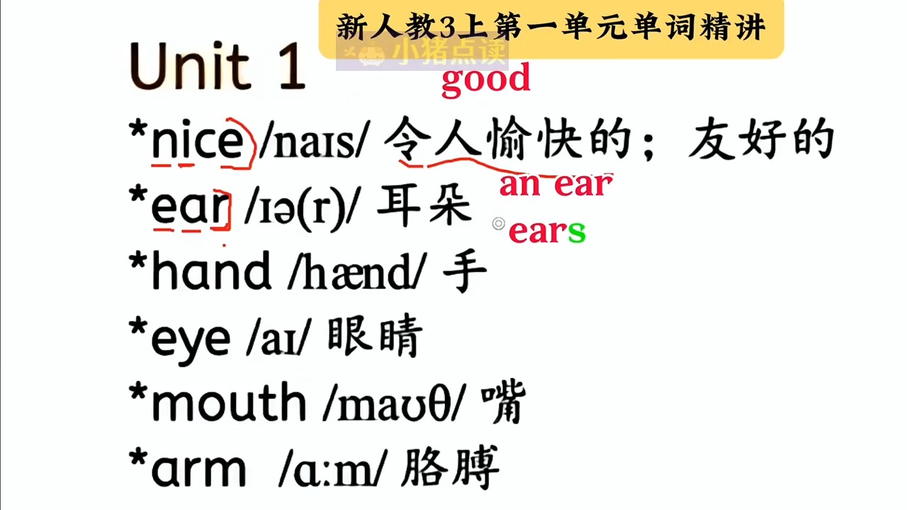 新人教版英语三年级上册第一单元单词精讲#三年级英语上册 #小学英语