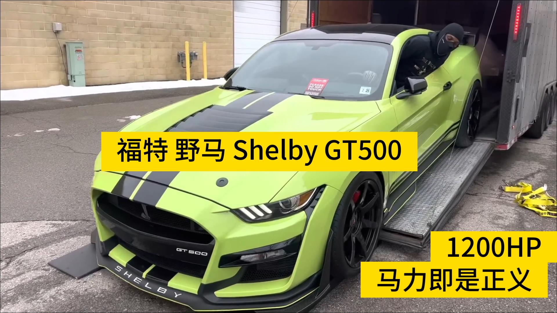 野马gt500眼镜蛇报价图片