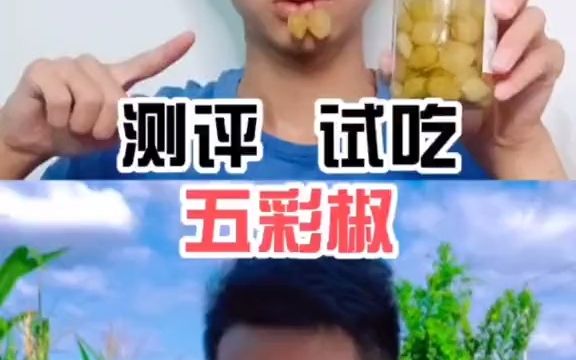 五彩椒真的很辣吗你们吃过吗?哔哩哔哩bilibili