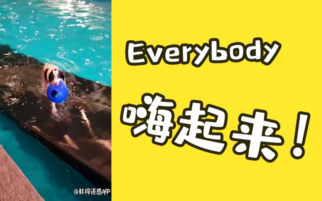everybody 嗨起来 ——【鲜榨语感-真实语境练英语】