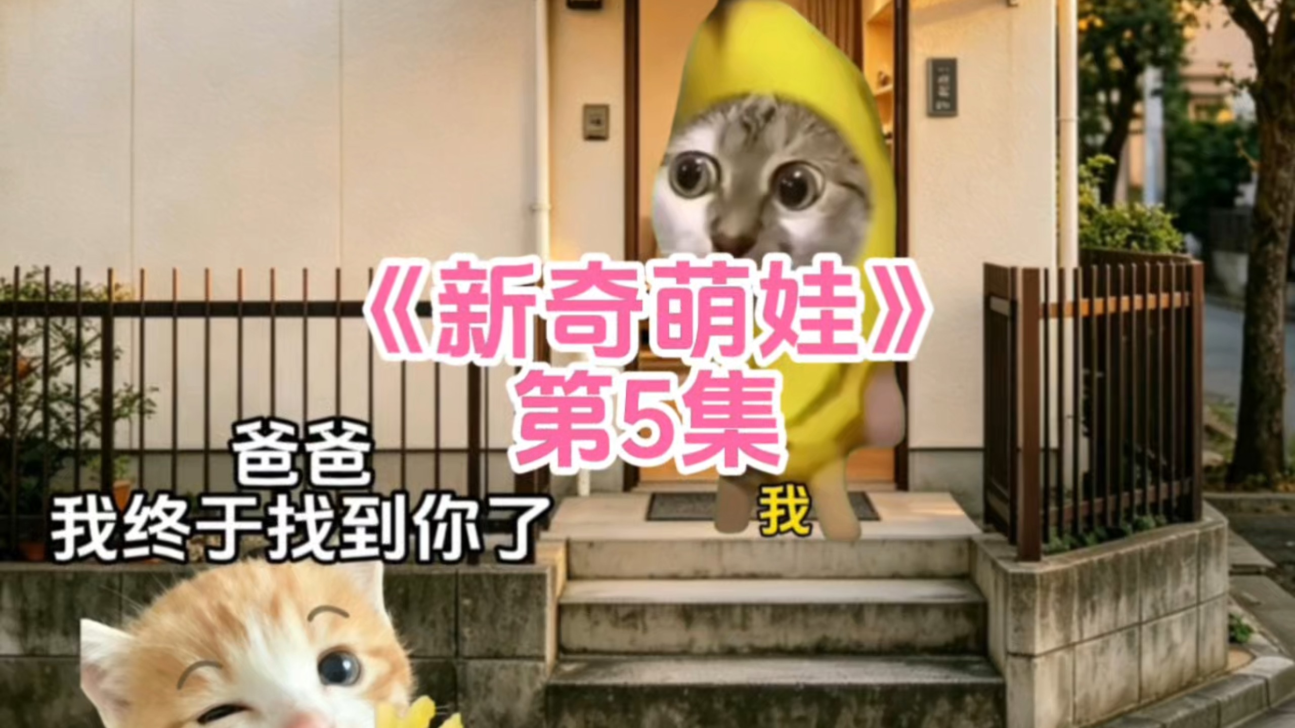 《新奇萌娃》第5集