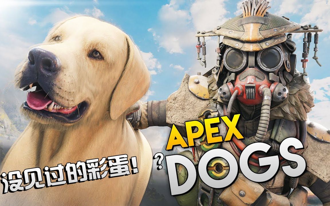 apex里没见过的狗狗彩蛋!