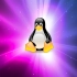 Linux视频教程【系统编程篇】