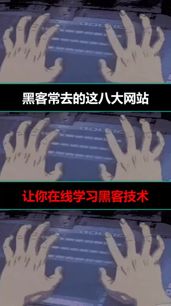 8个练习黑客技术的在线网站哔哩哔哩bilibili