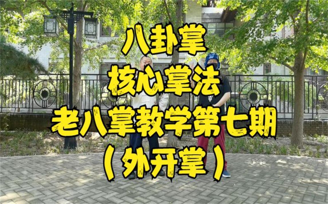 【八卦掌】老八掌教学第七期——外开掌!哔哩哔哩bilibili