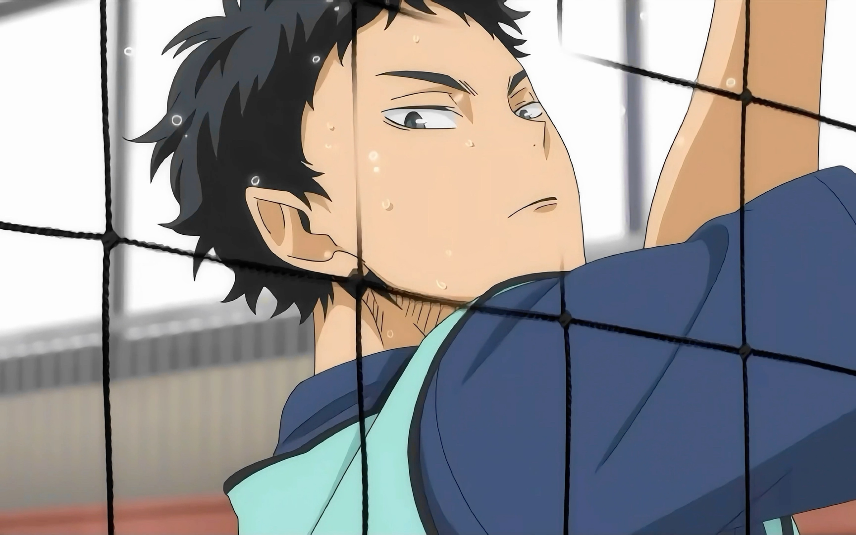 赤苇美人请和我结婚!