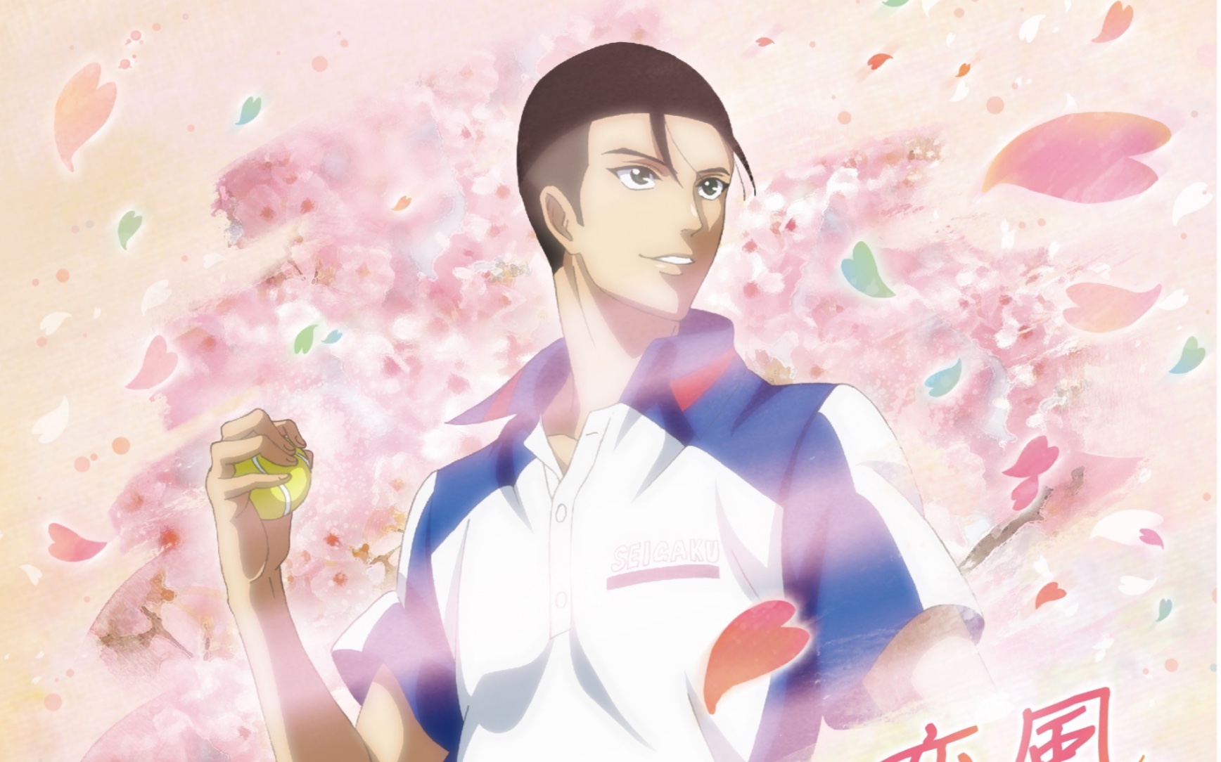 新网球王子risingbeat类型是d大石秀一郎菊丸英二expert24