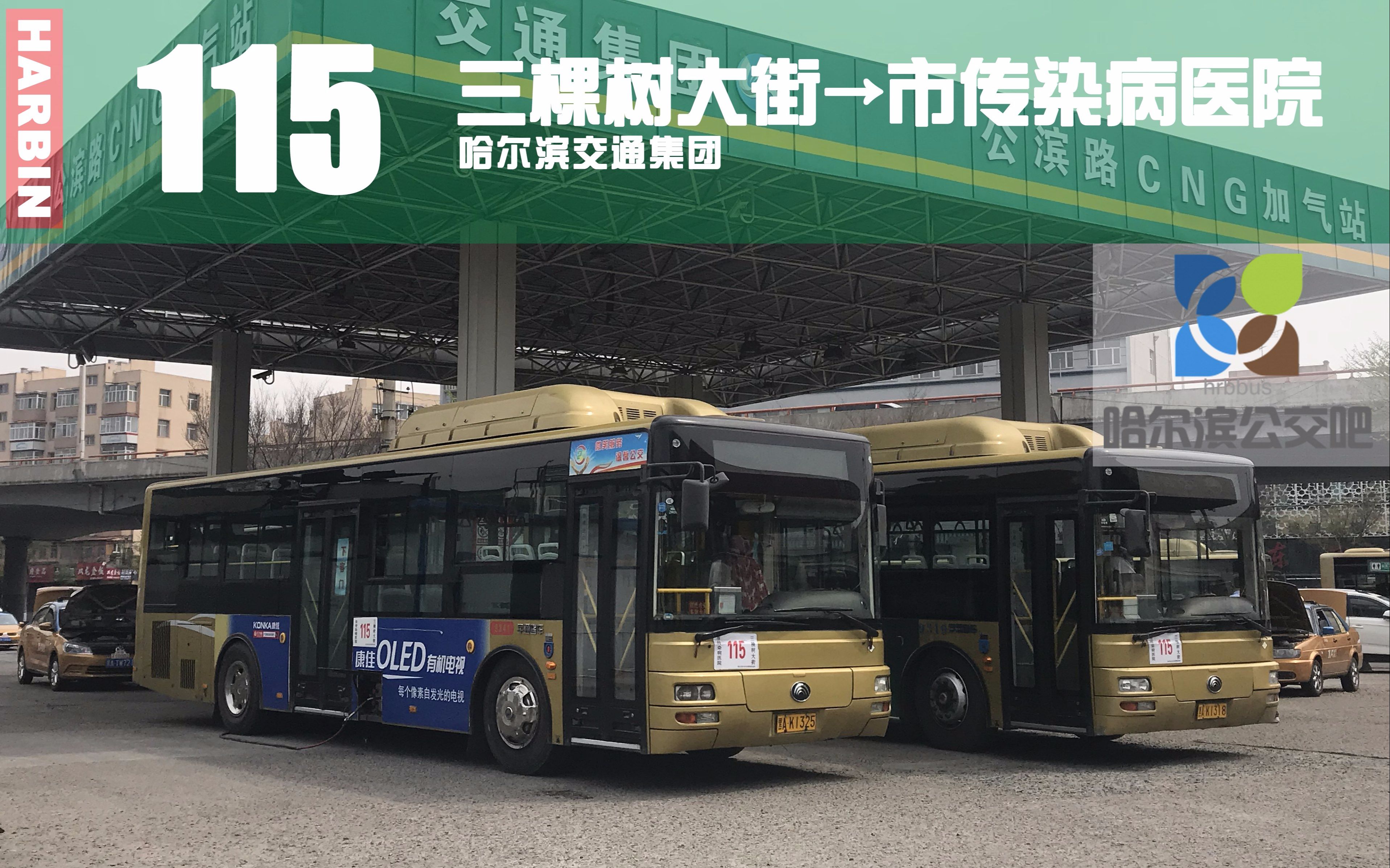 【冰城夏都hd#115】哈尔滨公交115路pov(三棵树大街→市传染病医院)