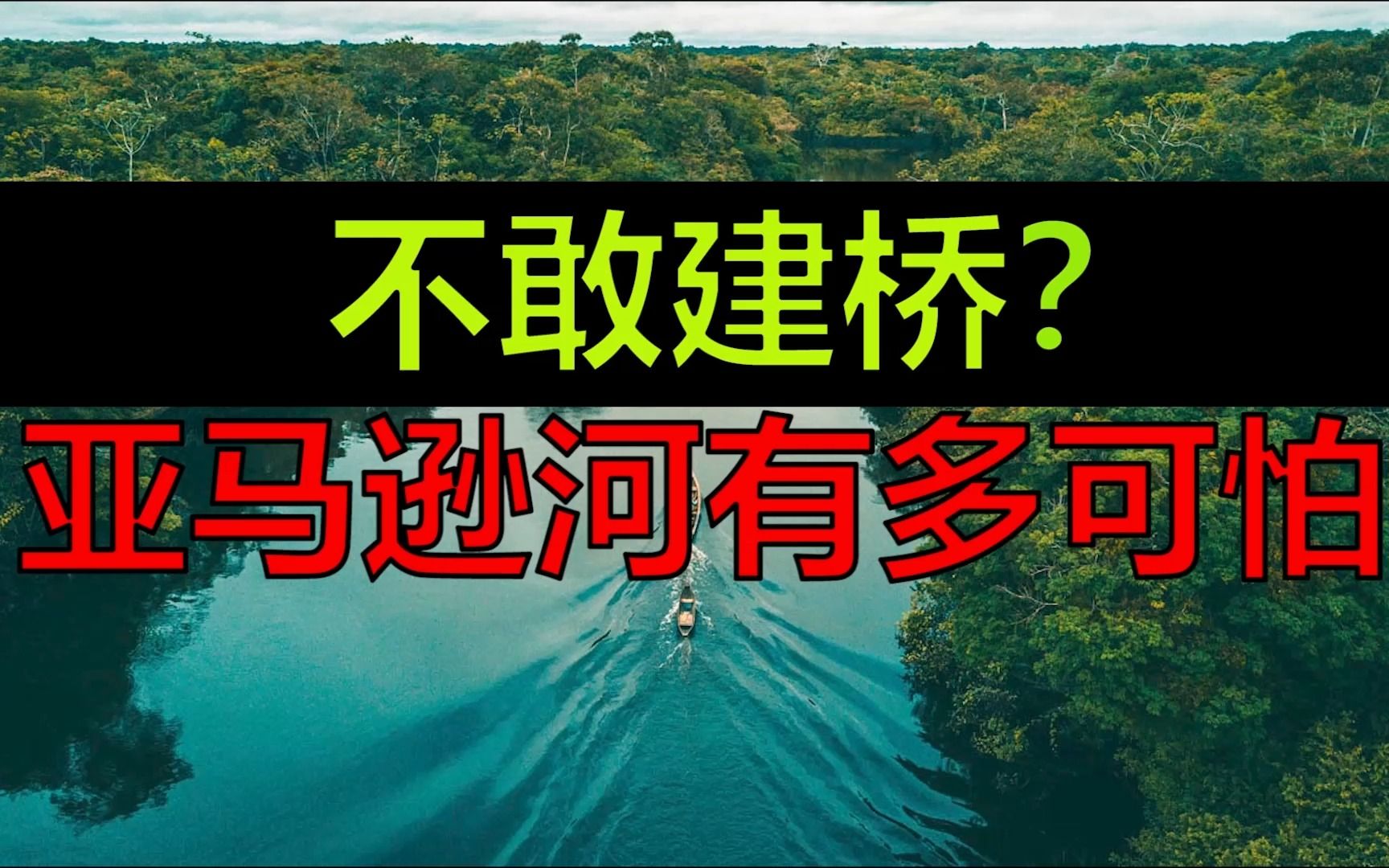 河流之上不敢建桥?亚马逊河流究竟有多恐怖!哔哩哔哩bilibili