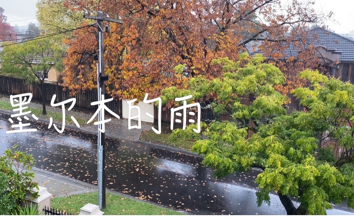 墨尔本街拍:雨哔哩哔哩bilibili