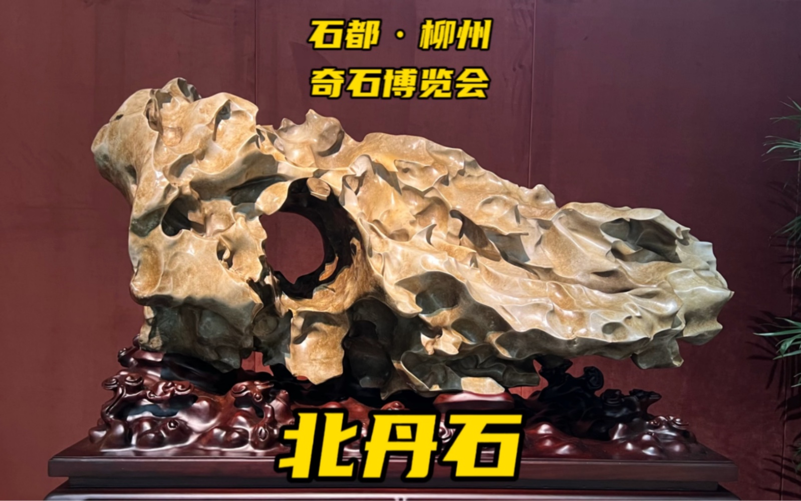 《石都·柳州》秋季奇石博览会的广西来宾北丹石