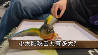 什么？你们家里没有老虎钳吗？