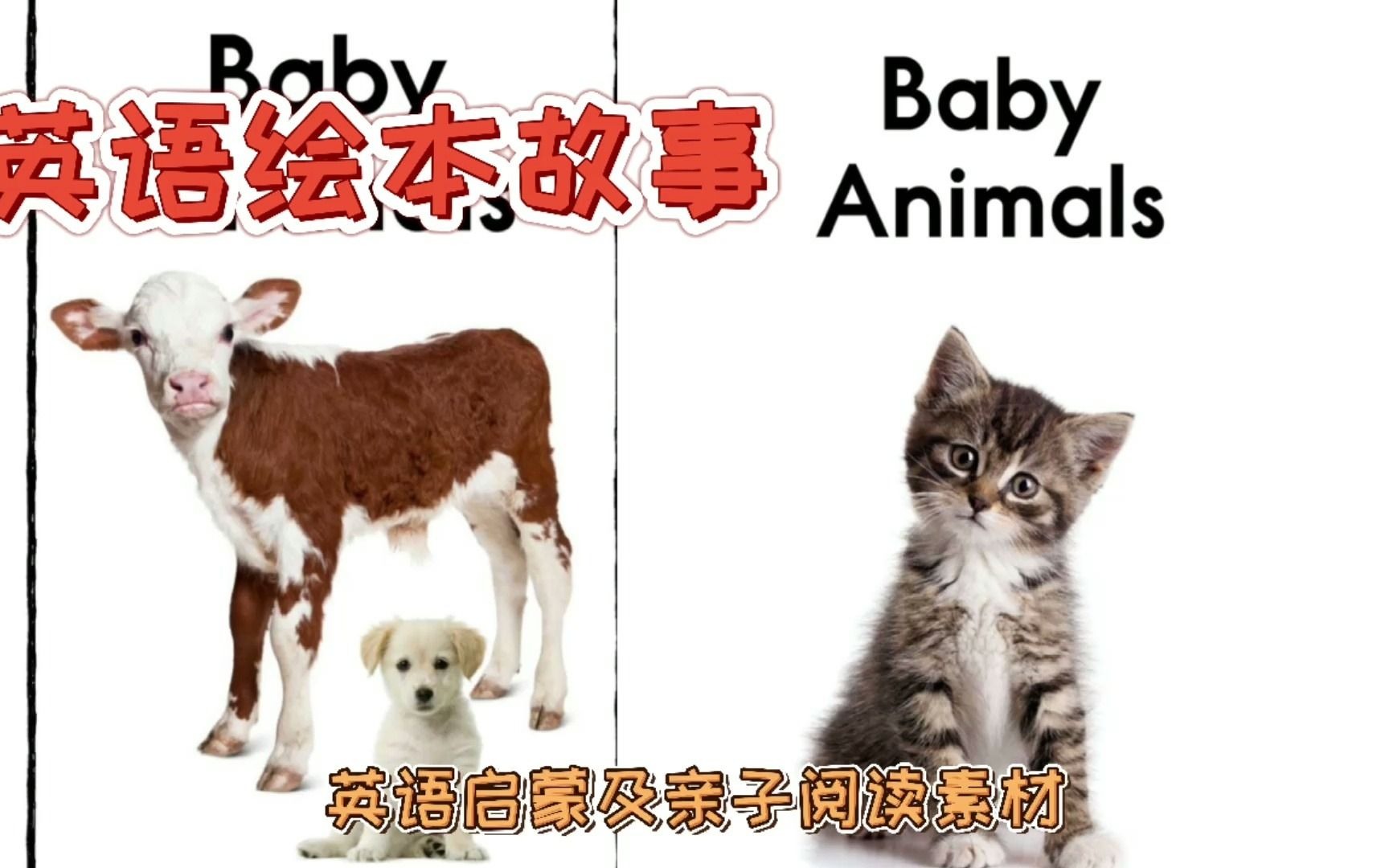 英语绘本故事《baby animals》