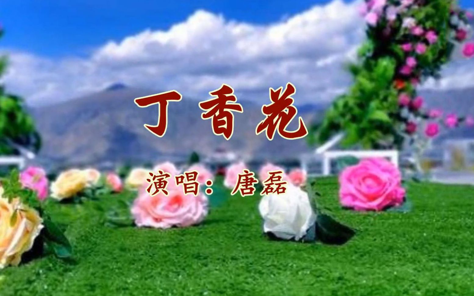 唐磊18年前火爆全国歌曲丁香花悲伤的歌曲听到泪眼昏黄