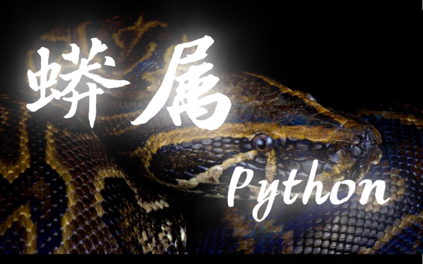 【图鉴】蟒属Python哔哩哔哩bilibili