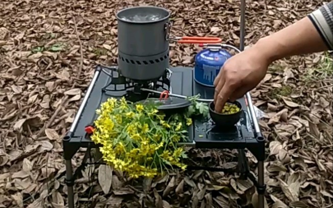 [图]又是一年野菊花开，到郊外煮杯野菊花茶