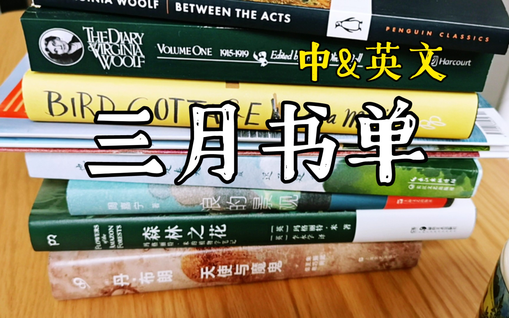 04.02【书单分享39】青澄儿 | 三月书单 伍尔夫 迟子建 周嘉宁 丹ⷥ𘃦œ— 杂志 英文原版哔哩哔哩bilibili