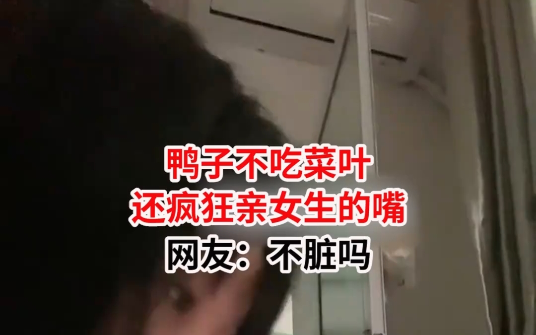鸭子不吃菜叶,还疯狂亲女生的嘴,网友:不脏吗?