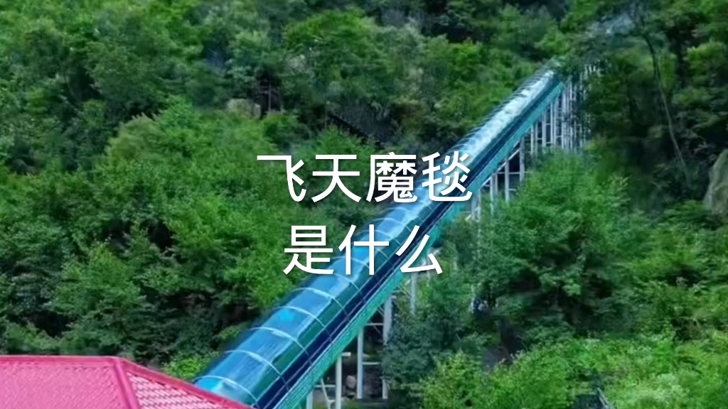 飞天魔毯到底是什么?