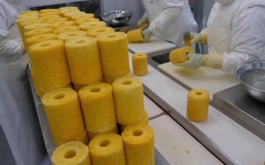 卫生无比的菠萝加工工厂,惊呆了