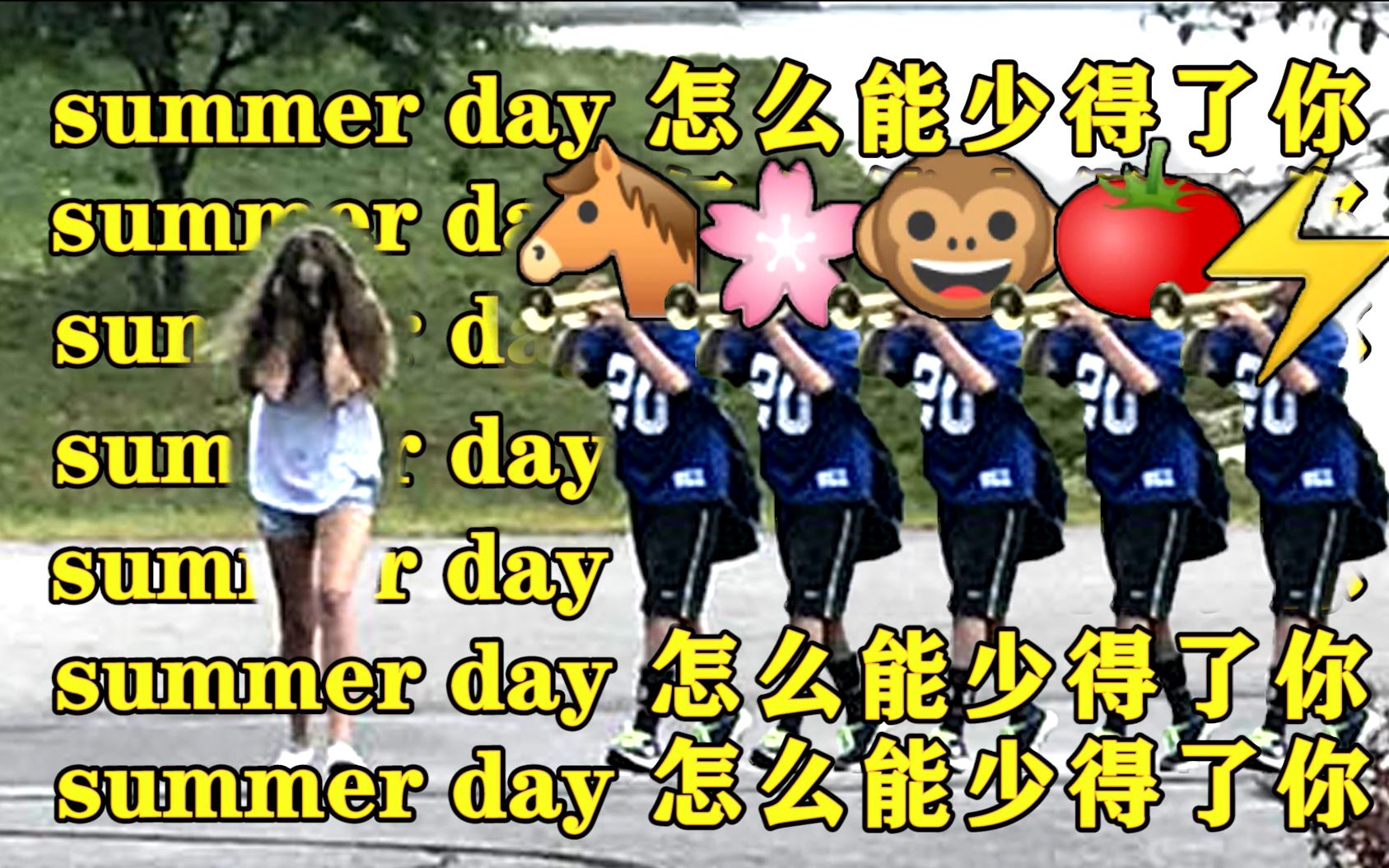 [图]别念了别念了DNA刻不下了 【阴阳怪气鬼畜× summer boy】