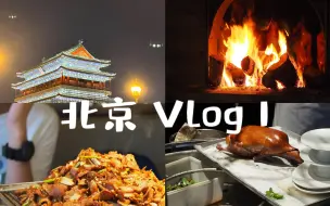 Download Video: 北京旅游Vlog1 | 夜游前门大街 长安街 四季民福 大栅栏