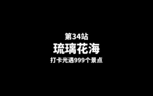 Download Video: 第34站【琉璃花海】我愿意称之为光遇最梦幻的花海景点没有之一