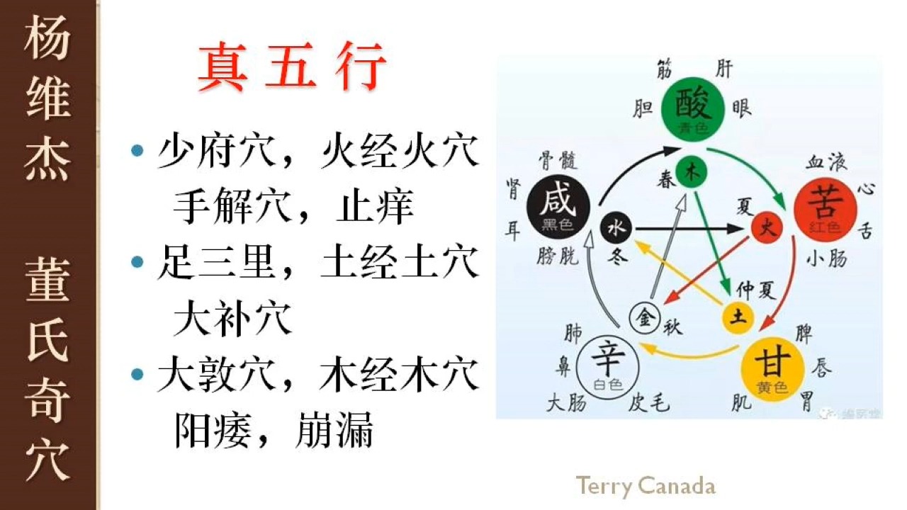 【031】脏腑别通 配穴, 真五行穴位哔哩哔哩bilibili